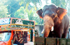 Lakshmisha  kills his mahout